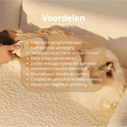 🐾 Stoomborstel voor honden en katten – elektrische 3-in-1 spray- en massageborstel