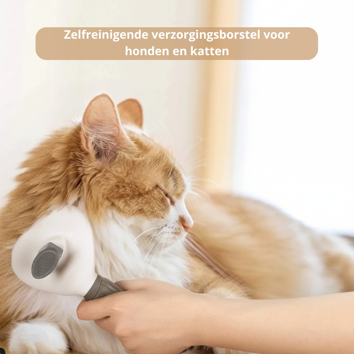 🐾 Zelfreinigende honden- en kattenborstel – verzorgingsborstel voor losse haren en klitten