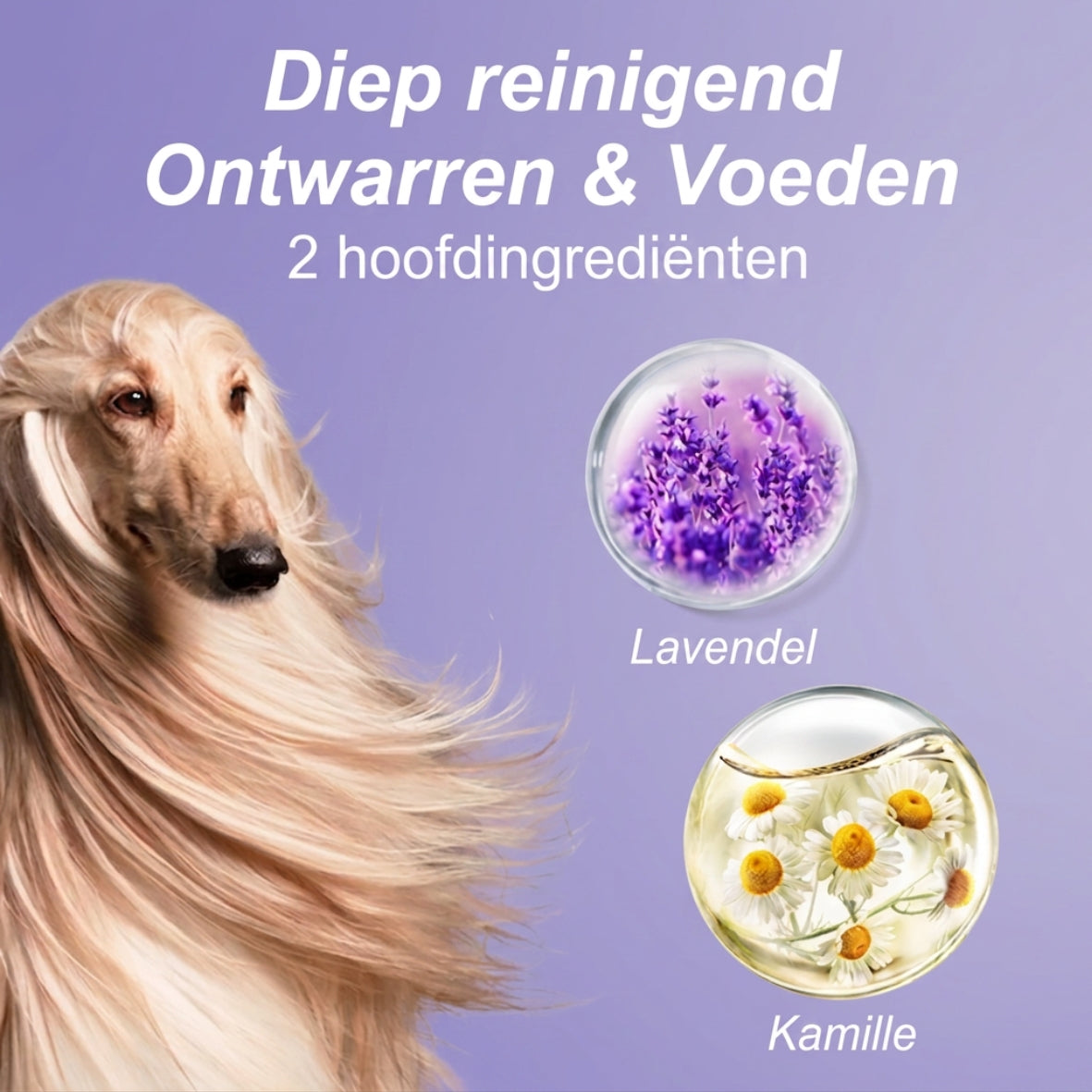🐾 4-in-1 honden shampoo – reinigt, hydrateert, ontklit en verfrist de vacht