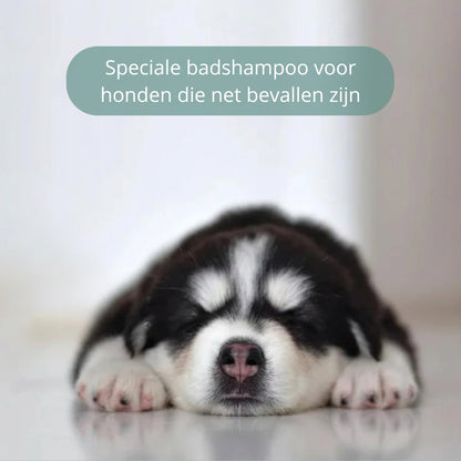 🐾 Verzorgende honden- en katten shampoo – milde shampoo voor gevoelige huid en gezonde vacht