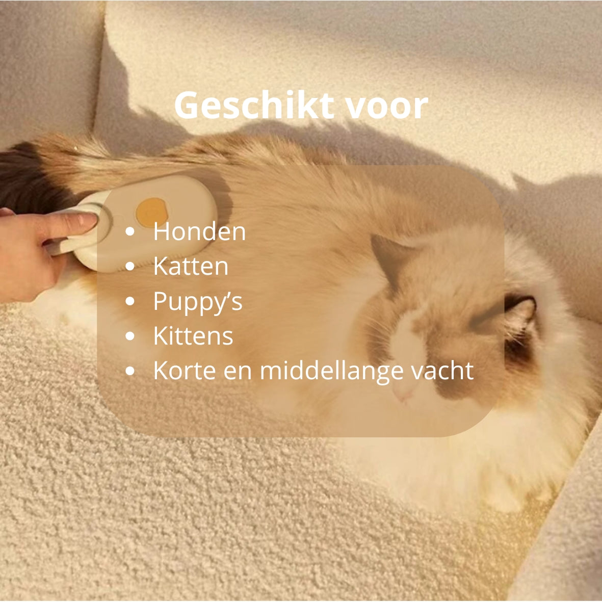 🐾 Stoomborstel voor honden en katten – elektrische 3-in-1 spray- en massageborstel