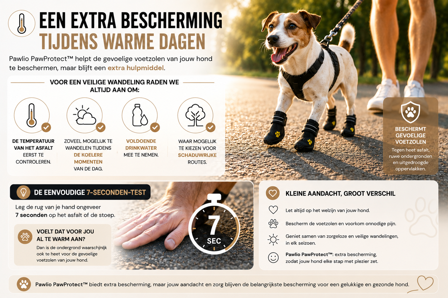 veilig-wandelen-heet-asfalt-pawlio-pawprotect.webp