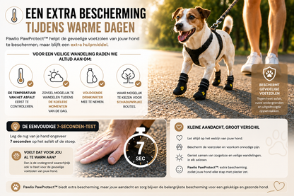veilig-wandelen-heet-asfalt-pawlio-pawprotect.webp