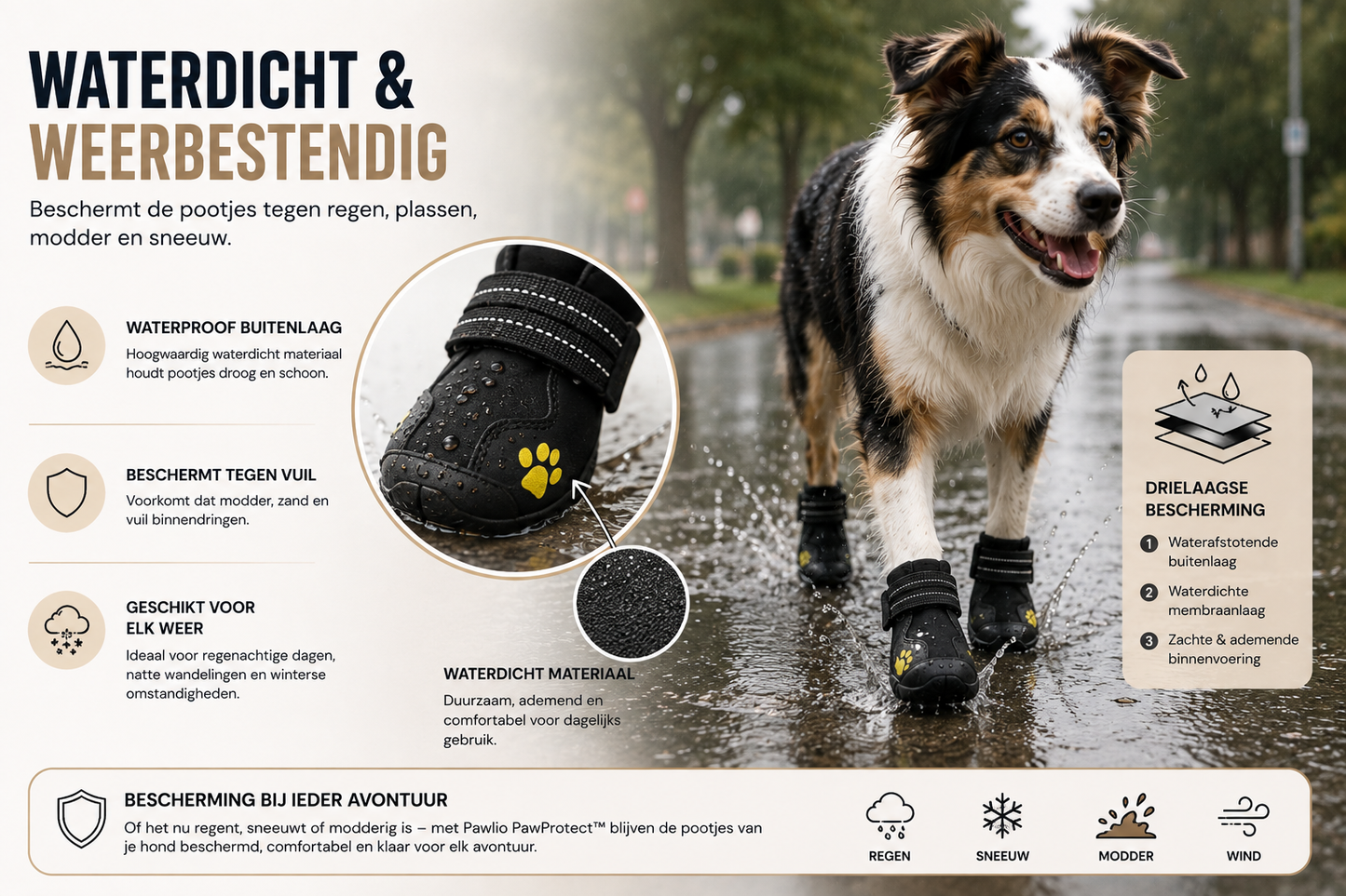 Hond draagt waterdichte Pawlio PawProtect hondenschoenen tijdens een wandeling in de regen voor bescherming tegen water, modder, sneeuw en vuil.